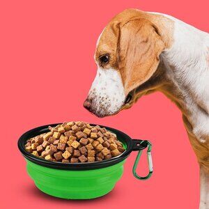 2-in-1 Collapsible Feeding Bowl